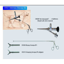 Veterinary Otoscope Ear Rigid Endoscope